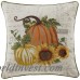 August Grove Cory Perfect Fall Pumpkin Throw Pillow AGTG1508